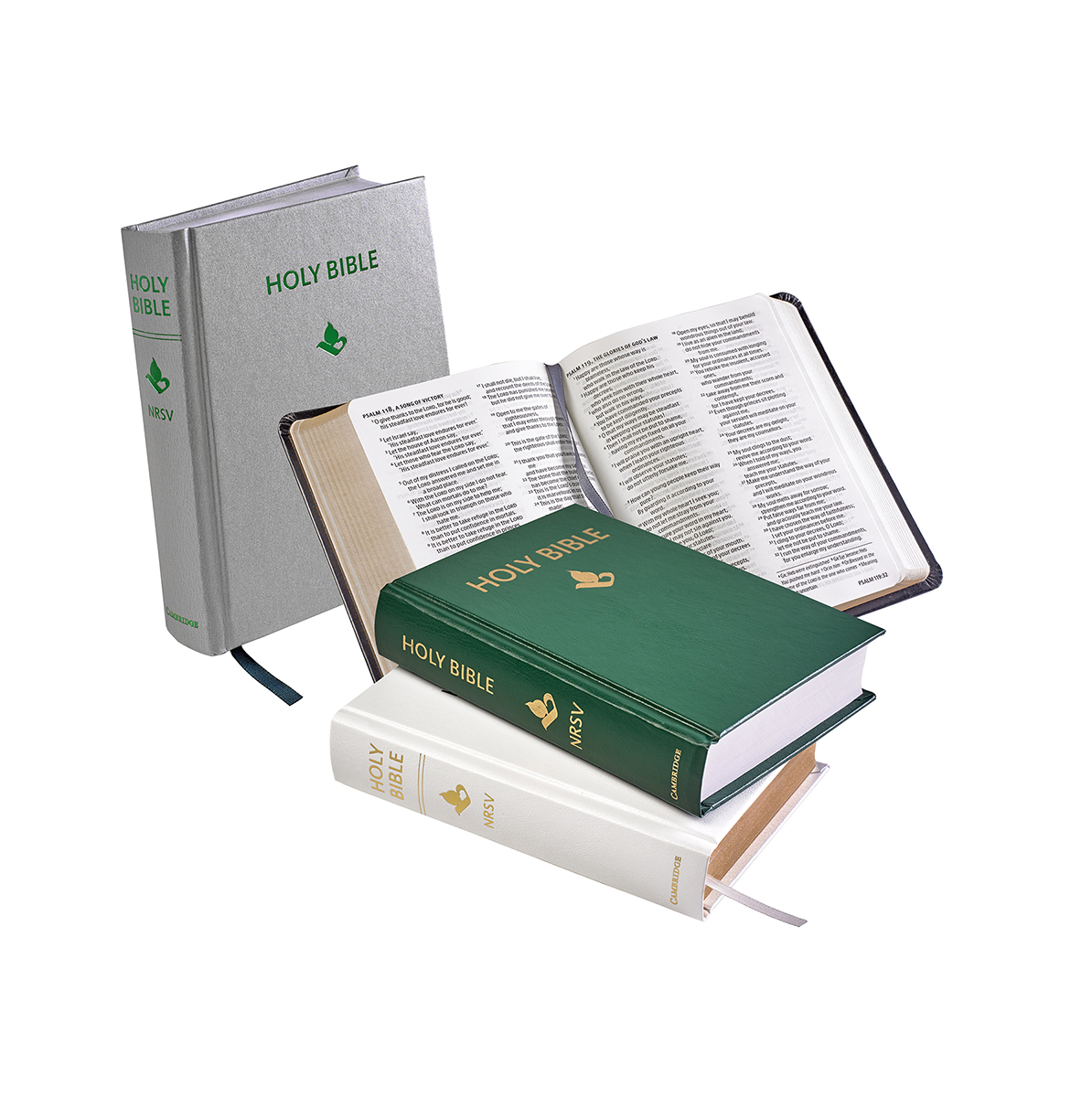 white, silver, green and grey Bibles