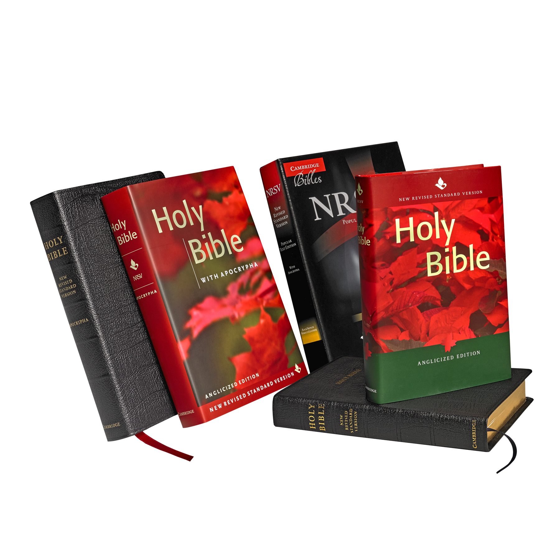NRSV Popular Text Bible