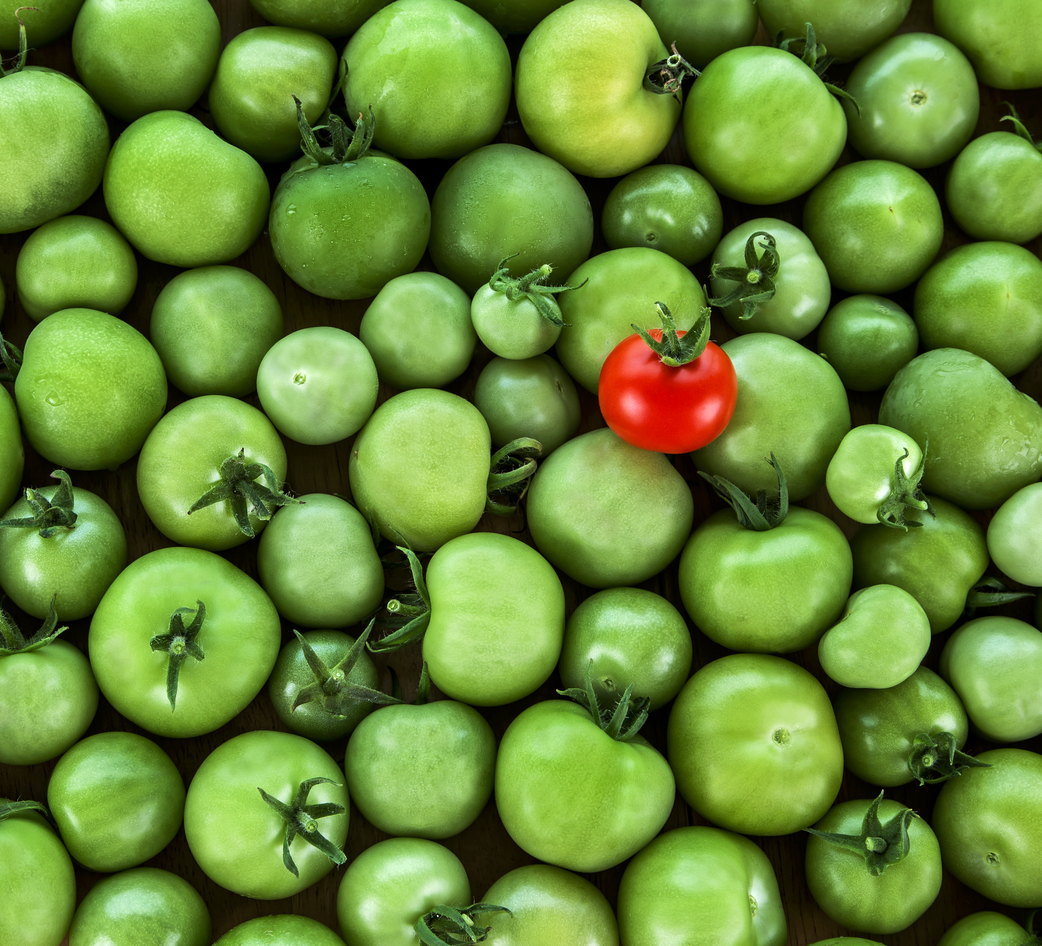Learn more about teaching probability with our free, online course