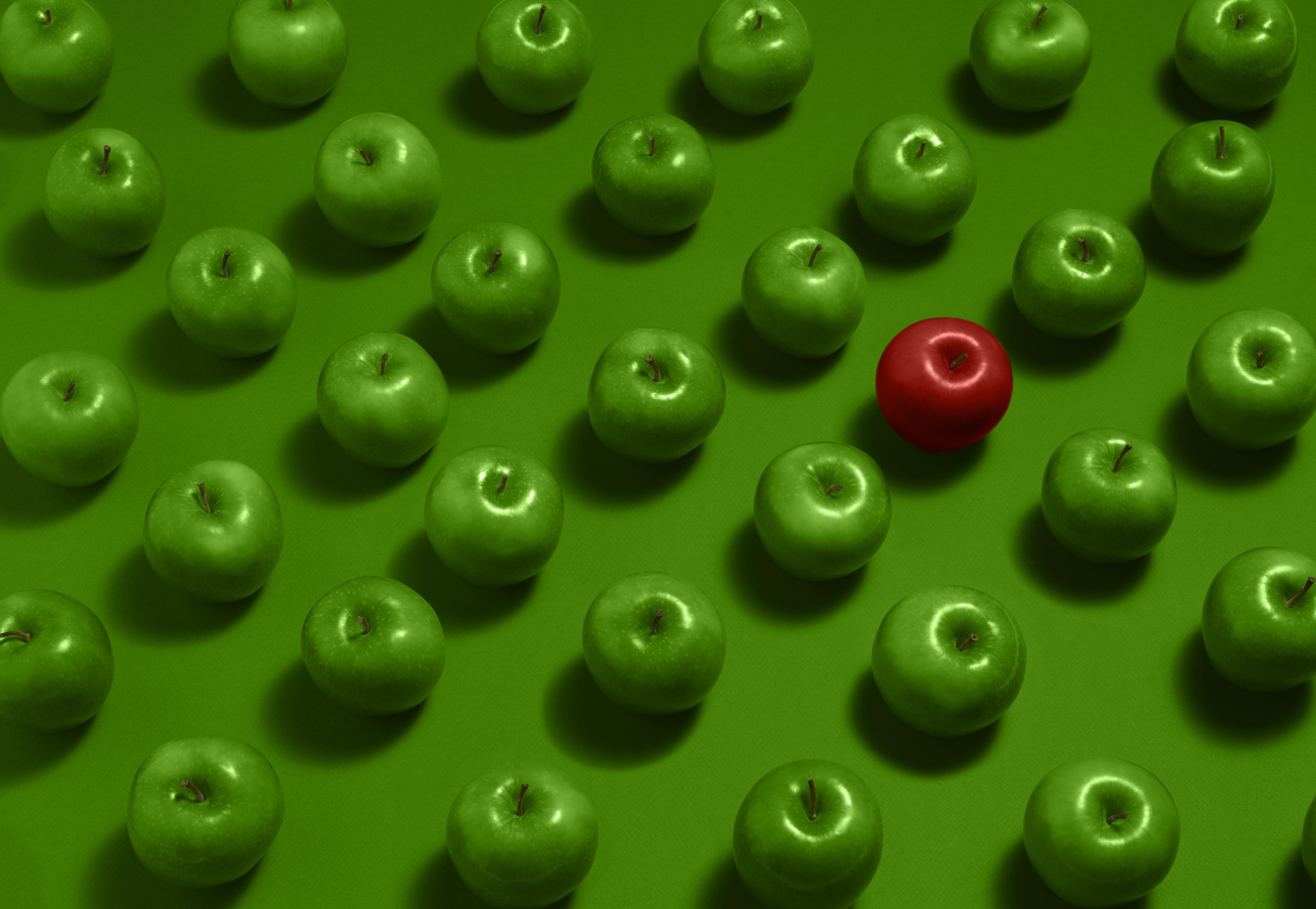 Make your own probability spinner - infographic