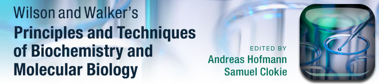 website header graphic
