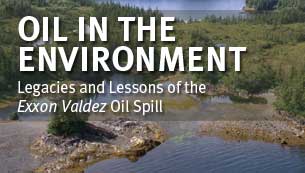Oil in the Environment