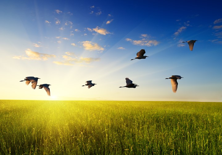 Is there a secret to being happy and successful, a good citizen and a constructive part of society?