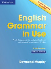 English Grammar in Use sample without answers