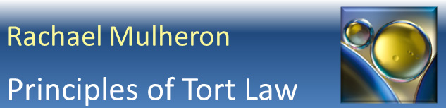 Principles of Tort Law