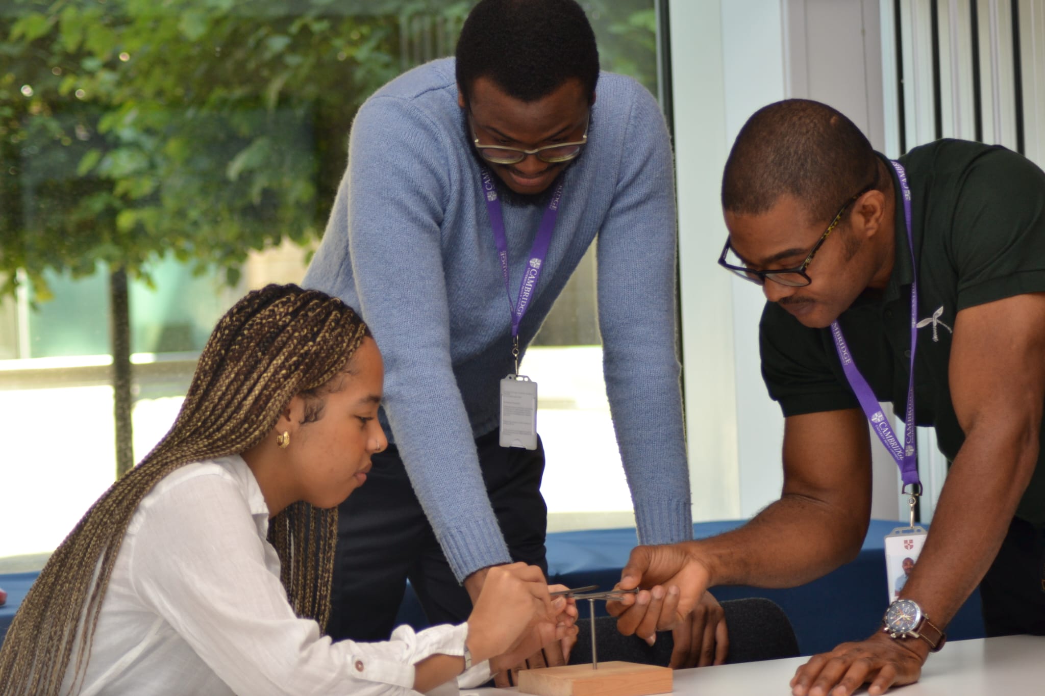 Cambridge interns working together