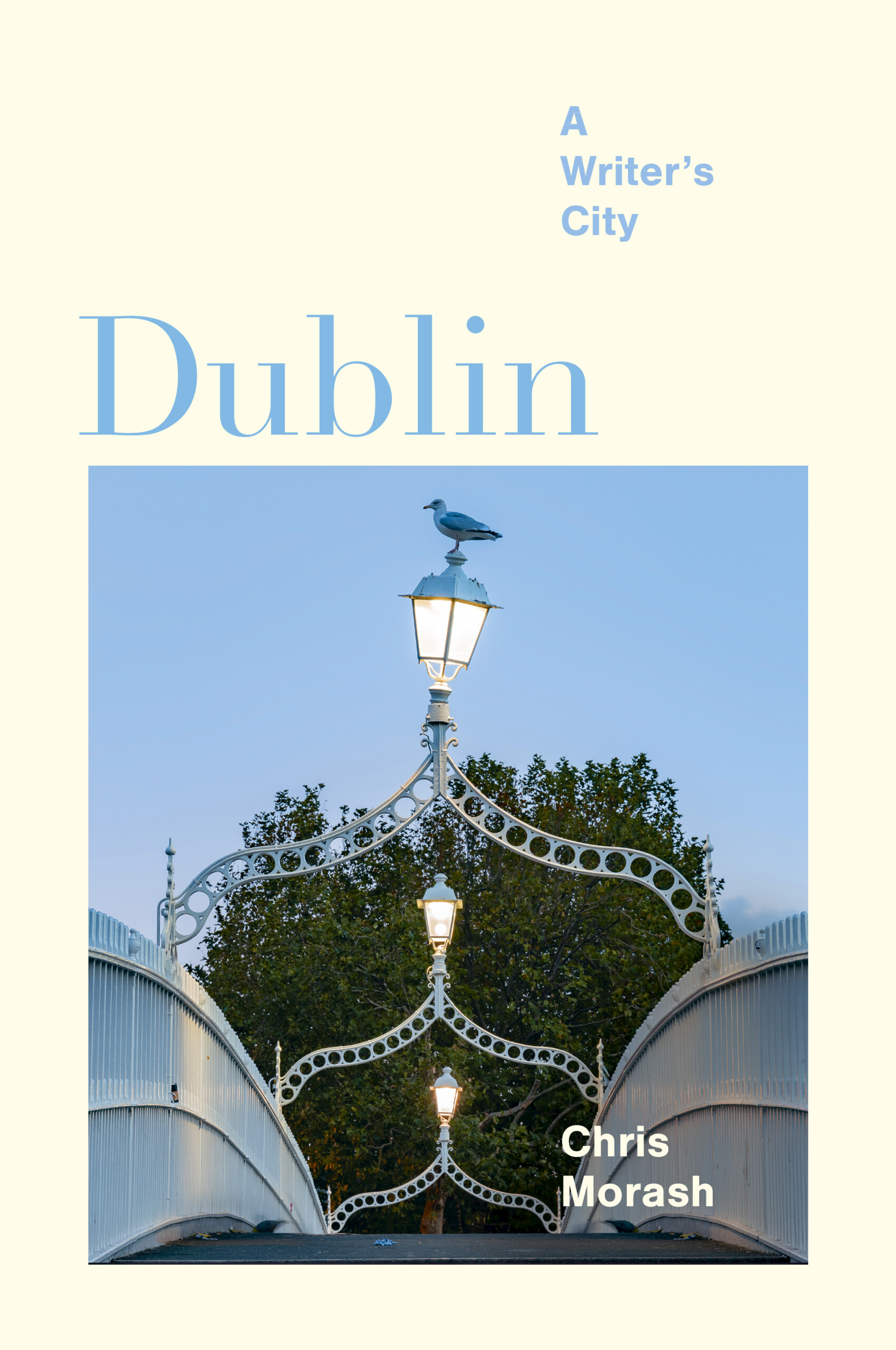 A book jacket image of A Writer's City - Dublin