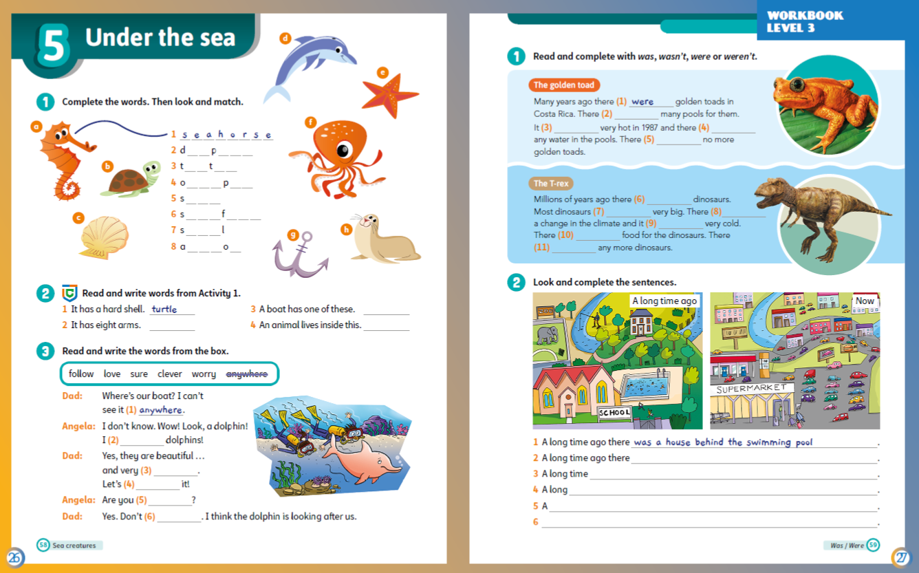Workbook