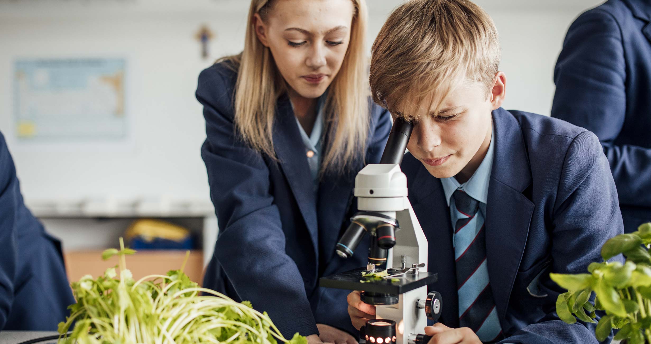 Two upper school pupils looking at plants through a microscope in a UK classroom.