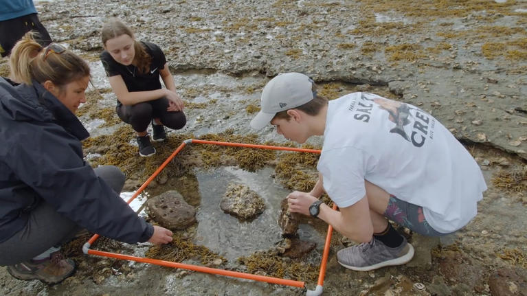 Marine Science A Level students on a beach in Wellington New Zealand