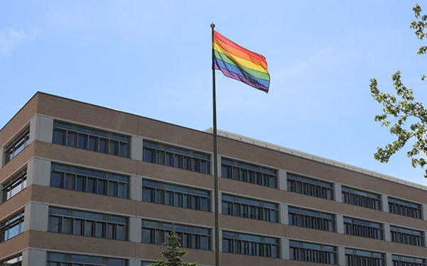 Pride flag - Triangle