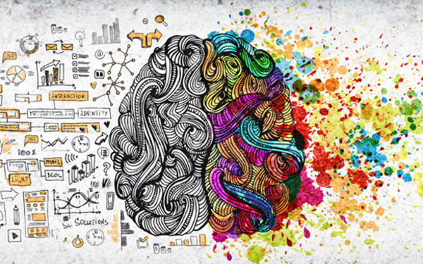Illustration of the brain