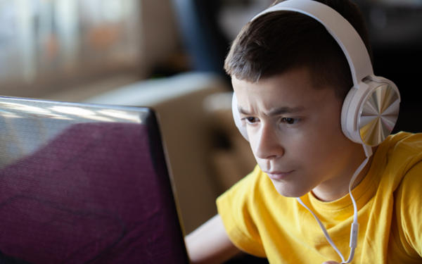Robustness online assessment
