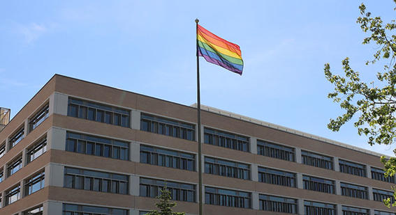 Pride flag - Triangle