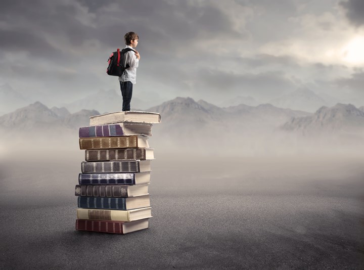 'Mental Gymnastics' Part 2: Directions for Future Research