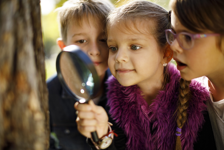 Three approaches to differentiation in primary science