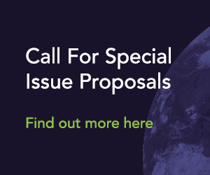  Call for RIS Special Issue proposals