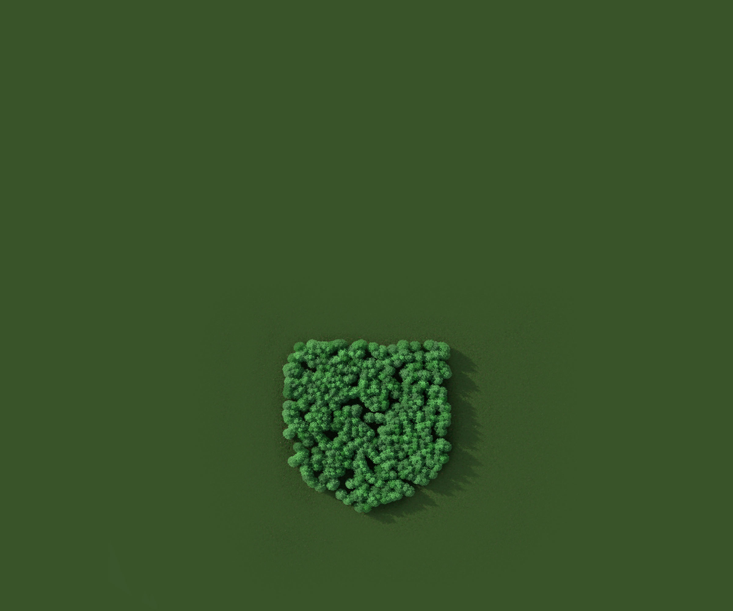Green Cambridge shield made of trees