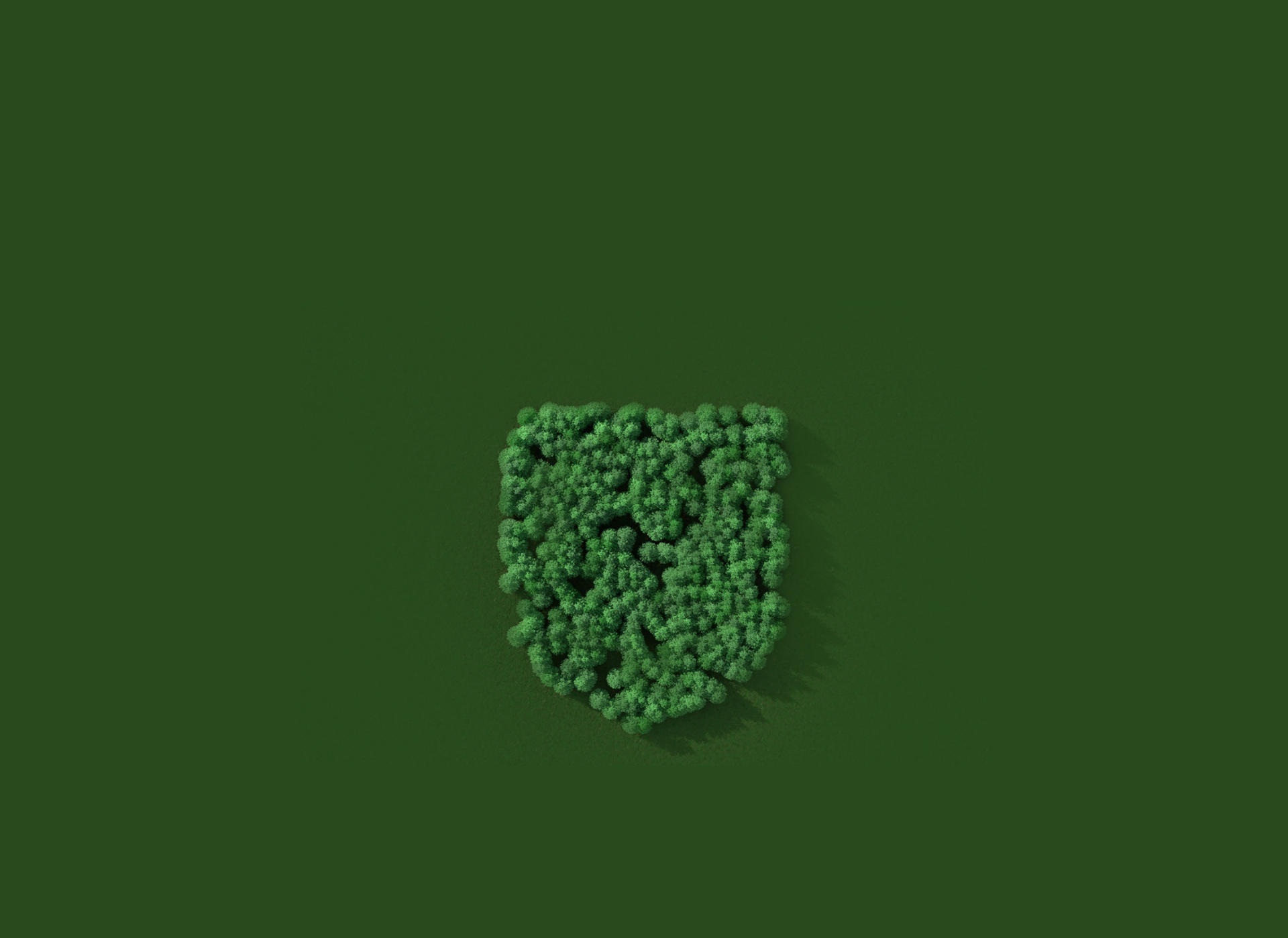 a group of trees form the Cambridge shield