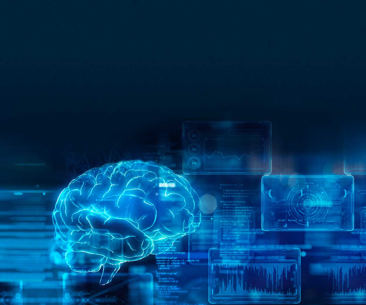 Digital image of a brain